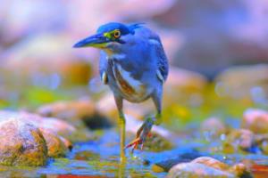 2018俄罗斯世界杯夺冠，激情与传奇的完美结合2018世界杯 夺冠