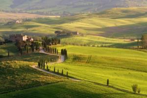 时间的见证，世界杯足球的百年传奇世界杯时间足球